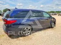 2023 Honda ODYSSEY фото