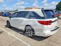 2023 Honda ODYSSEY фото