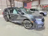 2023 Honda ODYSSEY фото