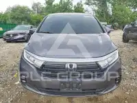 2023 Honda ODYSSEY фото