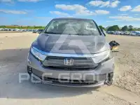 2023 Honda ODYSSEY фото