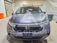 2023 Honda ODYSSEY фото