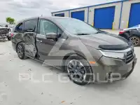 2023 Honda ODYSSEY фото