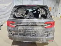 2023 Honda ODYSSEY фото