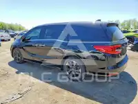 2023 Honda ODYSSEY фото
