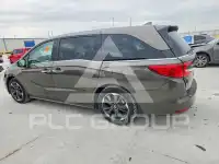 2023 Honda ODYSSEY фото