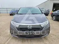 2023 Honda ODYSSEY фото