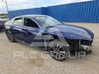 2023 Audi S5 фото