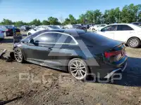 2023 Audi S5 photo