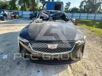 2023 Cadillac CT4 фото