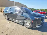 2023 Cadillac ESCALADE фото