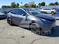 2023 Tesla Model Y photo