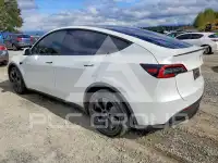 2023 Tesla Model Y фото