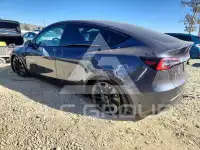 2023 Tesla Model Y фото