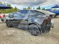 2023 Tesla Model Y photo
