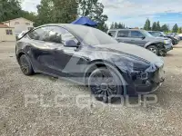 2023 Tesla Model Y photo