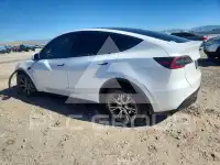 2023 Tesla Model Y photo