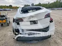 2023 Tesla Model Y photo