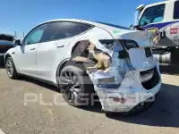 2023 Tesla Model Y фото