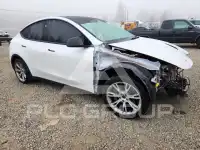 2023 Tesla Model Y фото