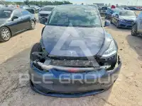 2023 Tesla Model Y photo
