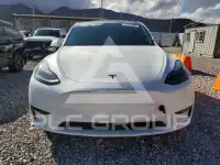 2023 Tesla Model Y photo