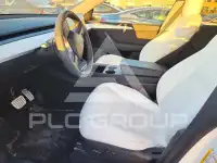 2023 Tesla Model Y photo