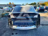2023 Tesla Model Y photo