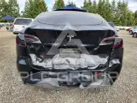 2023 Tesla Model Y photo