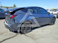 2023 Tesla Model Y photo
