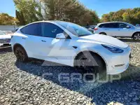 2023 Tesla Model Y photo