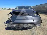 2023 Tesla Model Y photo