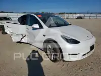 2023 Tesla Model Y photo
