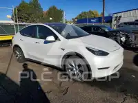 2023 Tesla Model Y фото
