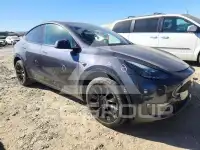 2023 Tesla Model Y фото
