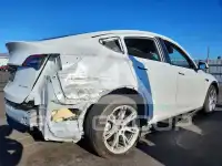2023 Tesla Model Y photo