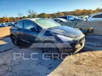 2023 Tesla Model Y photo