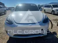 2023 Tesla Model Y photo