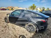 2023 Tesla Model Y photo