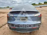 2023 Tesla Model Y фото
