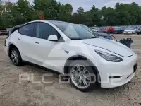 2023 Tesla Model Y photo