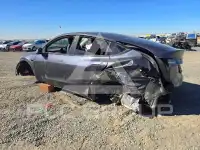 2023 Tesla Model Y photo