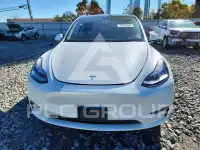 2023 Tesla Model Y photo