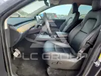 2023 Tesla Model Y photo