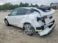 2023 Tesla Model Y photo