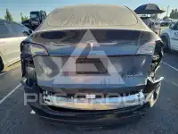 2023 Tesla Model Y фото