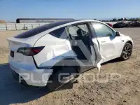 2023 Tesla Model Y photo