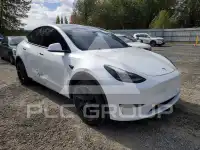 2023 Tesla Model Y фото
