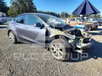 2023 Tesla Model Y фото