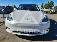 2023 Tesla Model Y photo